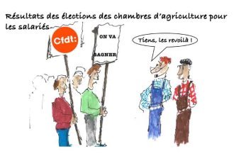 Les clés du social : Élections chambres d'agriculture : chez les salariés, c'est la CFDT qui est en tête !